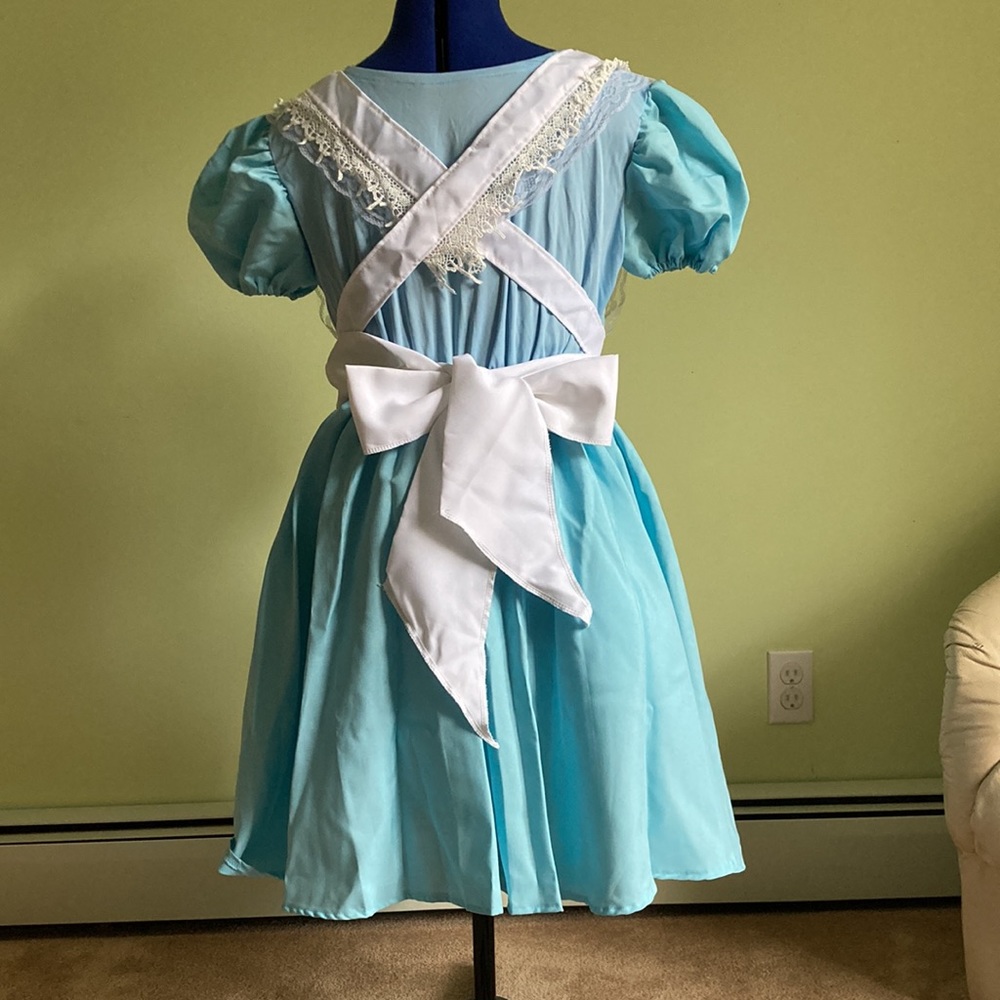 Alice In Wonderland Costume! View 3